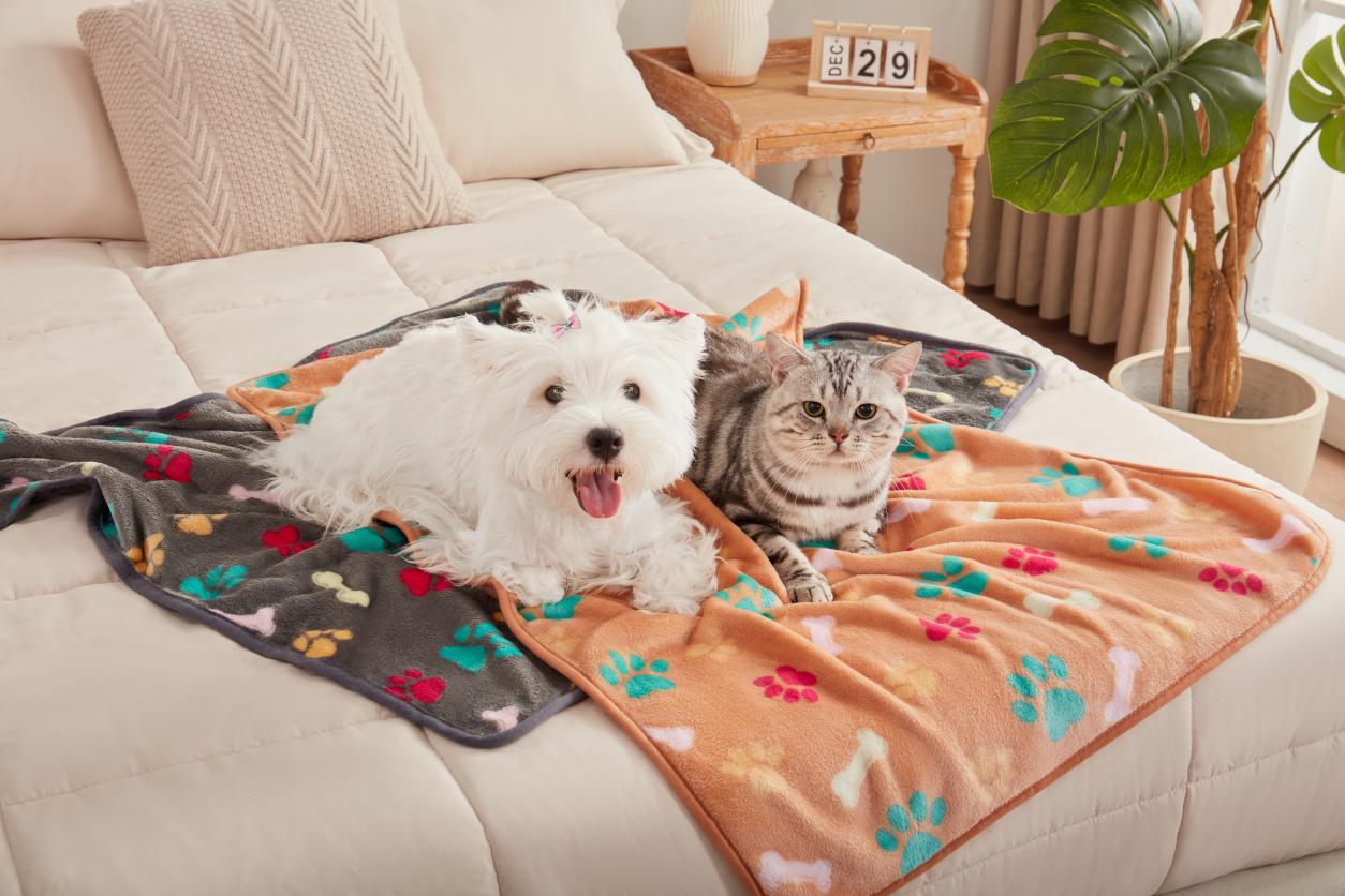 20240827宠物垫2号场景8850 拷贝