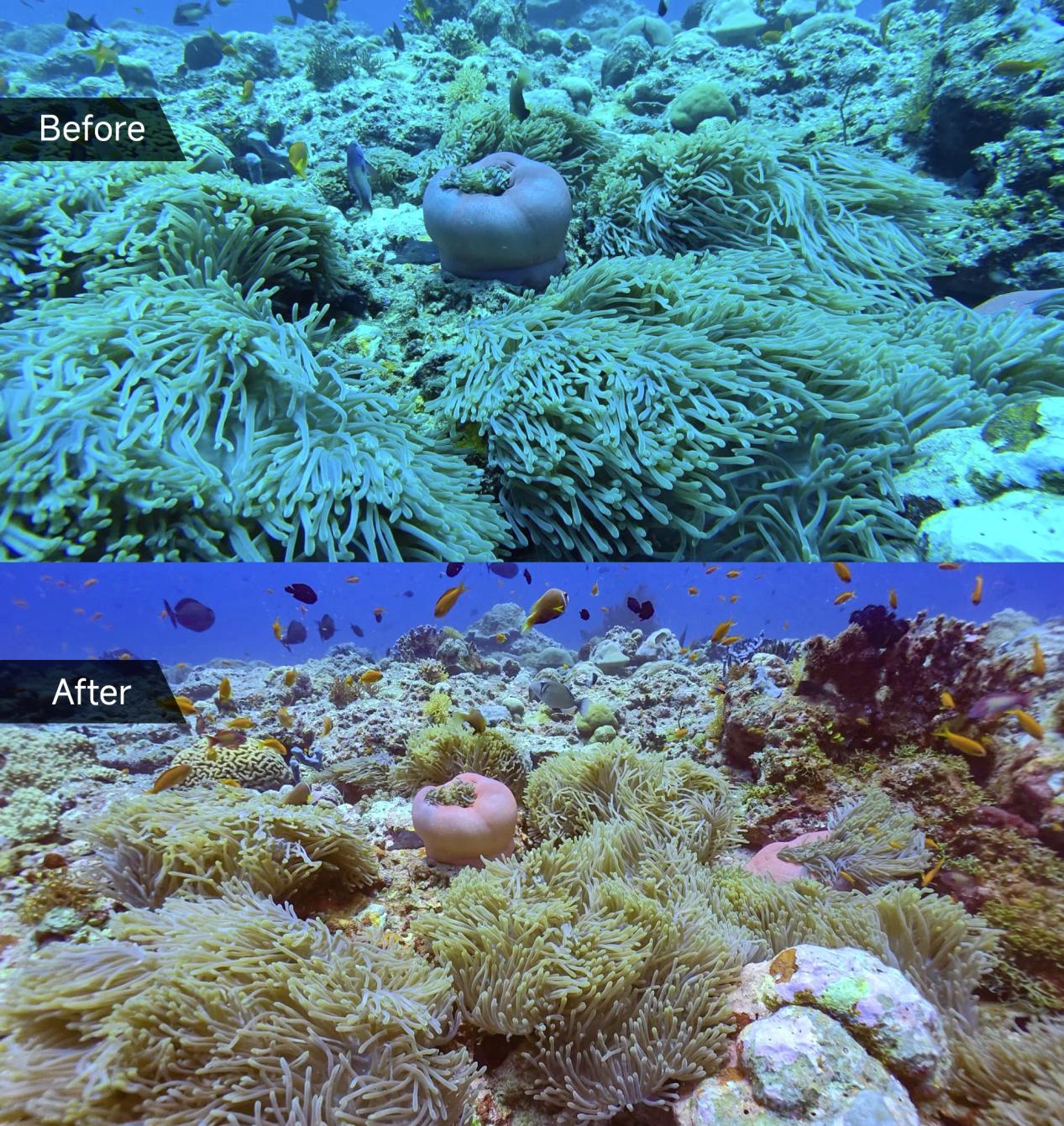 c02b25c146be3db38beec7afdadba843