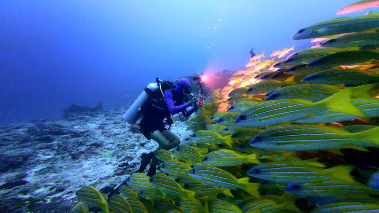 微信图片_20250425180419