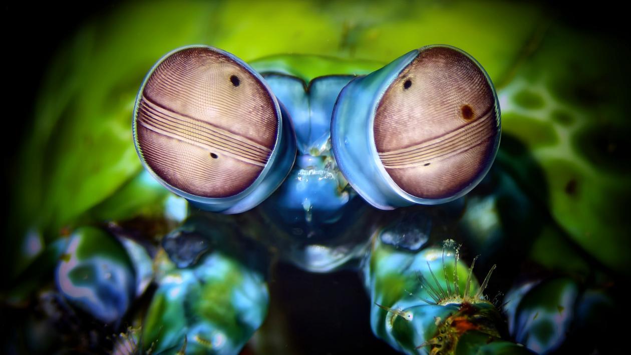 微信图片_20250521092340