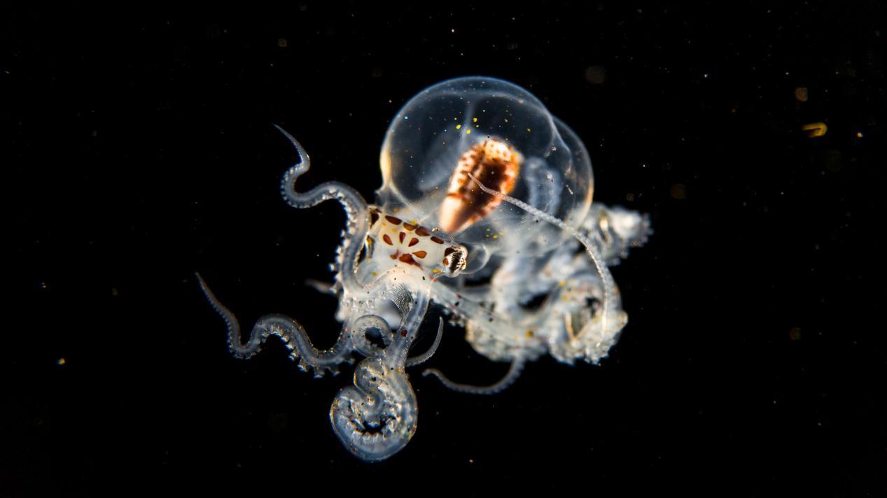 微信图片_20250521092326