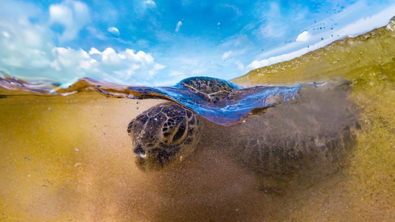 微信图片_20250521092342