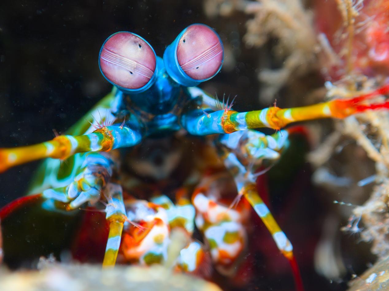 Day 3 - Bali (108 of 121)