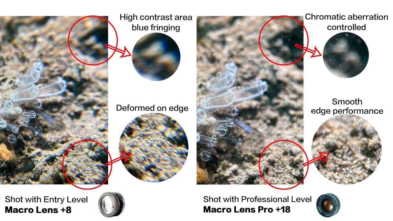 微信图片_20250731164237