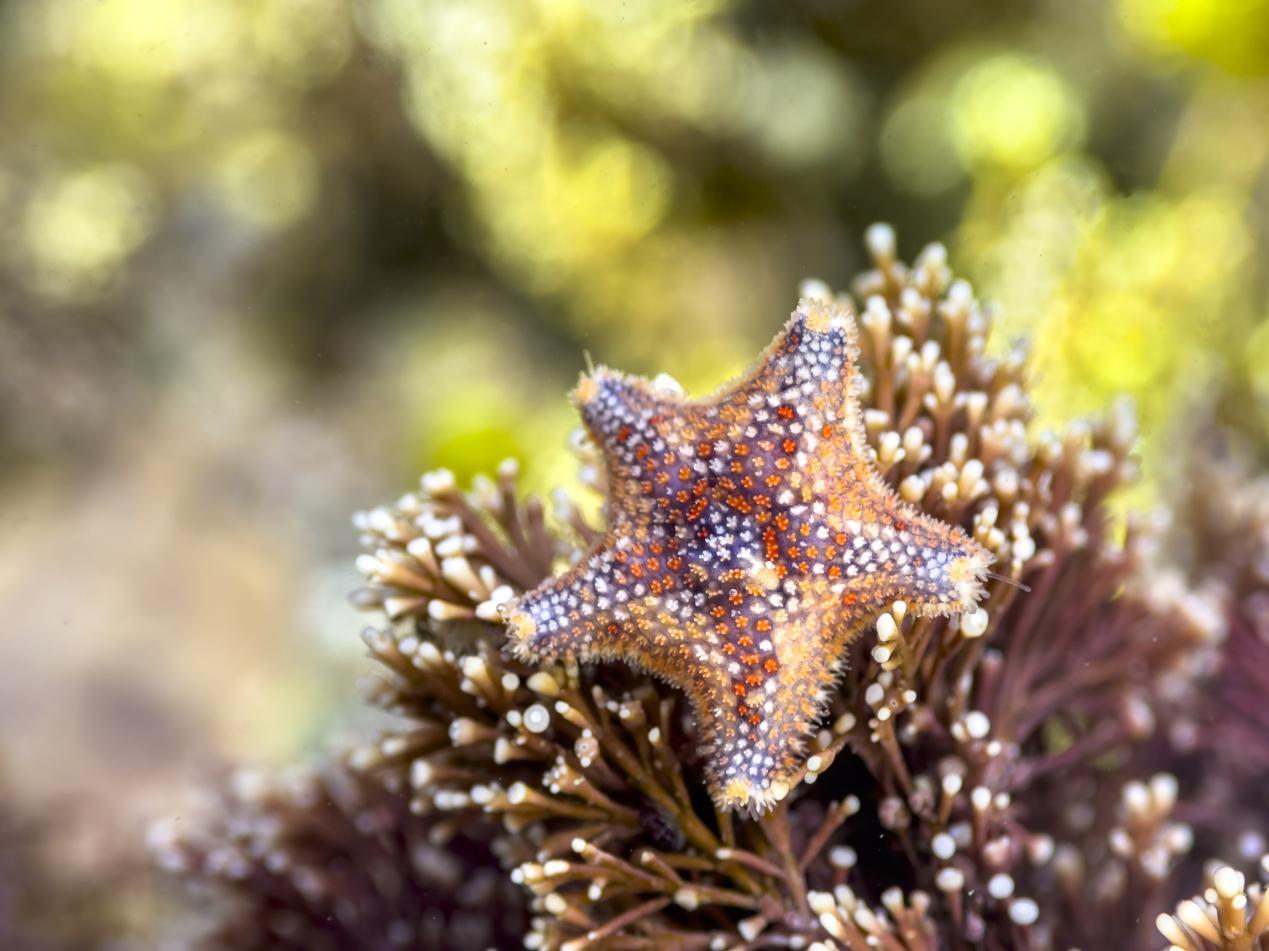 微信图片_20250417160718