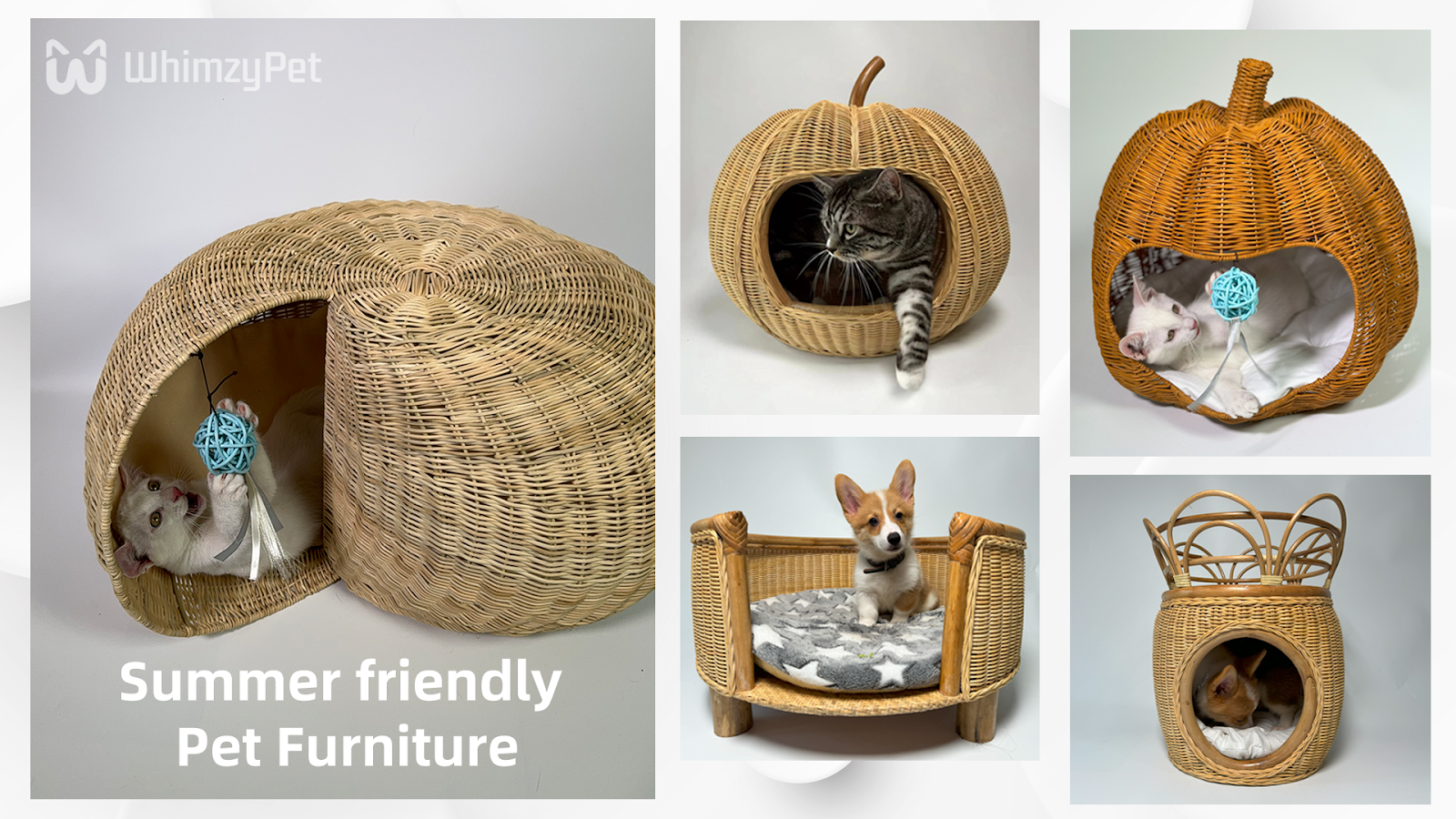 382be07325f62858d3f6c696d77c97b